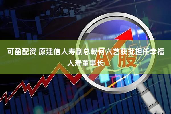 可盈配资 原建信人寿副总裁何六艺获批担任幸福人寿董事长