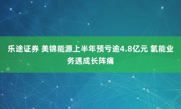 乐途证券 美锦能源上半年预亏逾4.8亿元 氢能业务遇成长阵痛